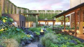 Radically New Concept Hawaii Hotels Open: Economy to Luxury