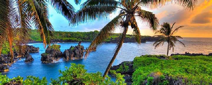 why not travel to maui