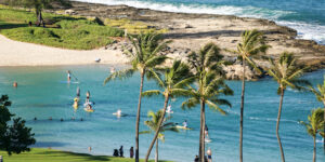 Thwart Thieves on Your Hawaii Vacation With Crime Rising