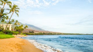 Changed Visitor Habits Crush Hawaii Travel Outlook