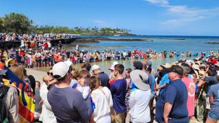 Threatened Green Sea Turtles Set Free at Mauna Lani