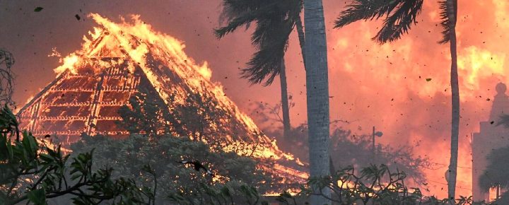 Hawaii Trip Insurance In The World Of Wild Fires