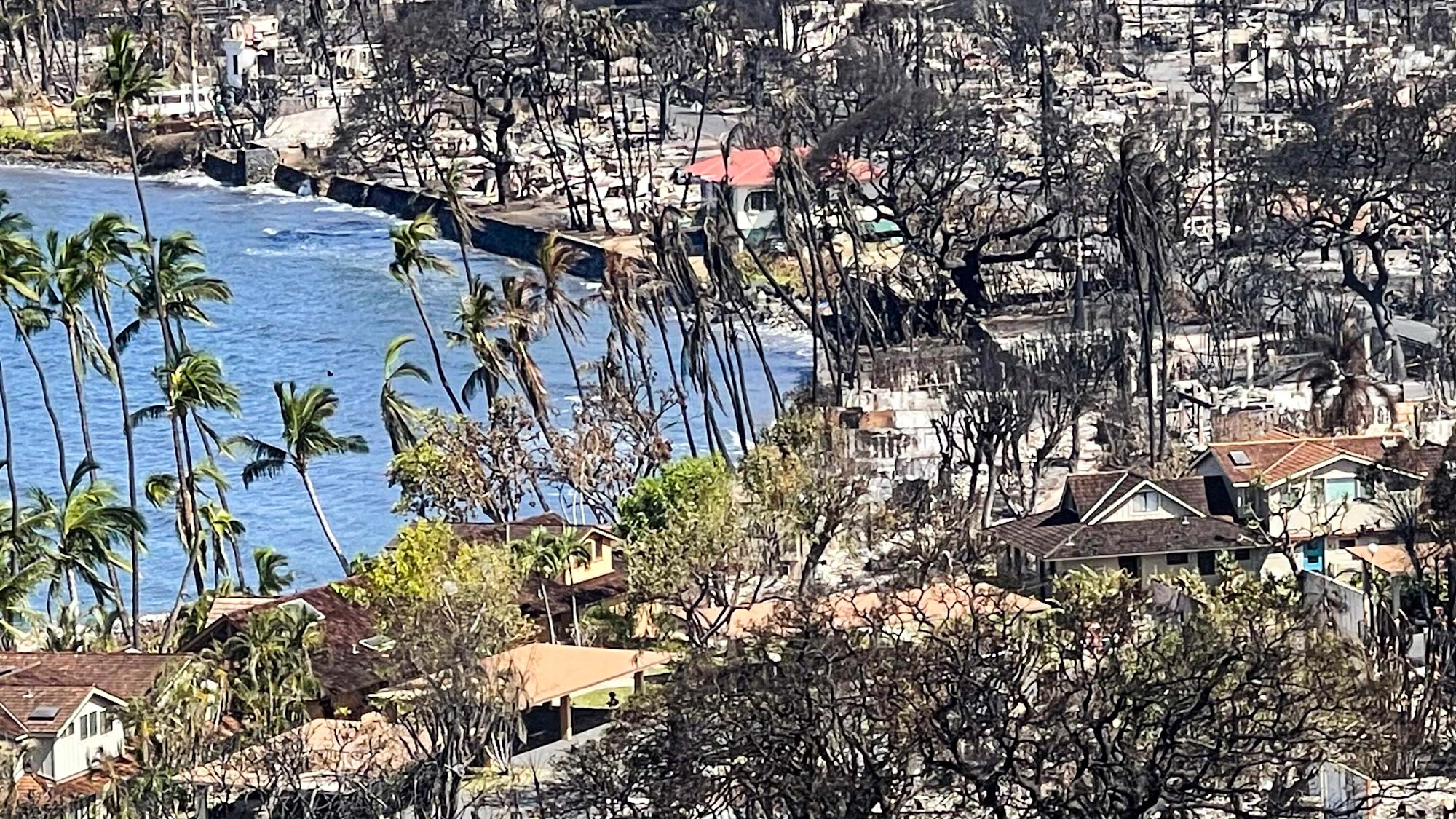 Looting After Lahaina Fire Reminds Us of Hurricane Iniki Beat of Hawaii