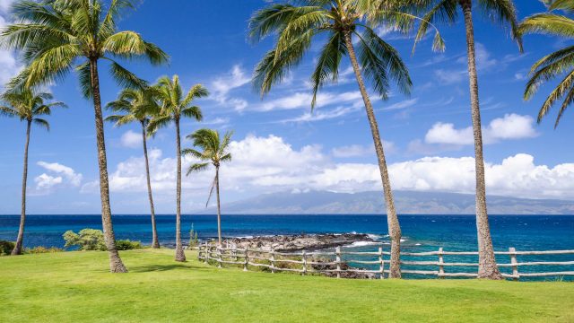 Maui Arrival Requirements Revealed for Visitors In 2024 - Beat of Hawaii