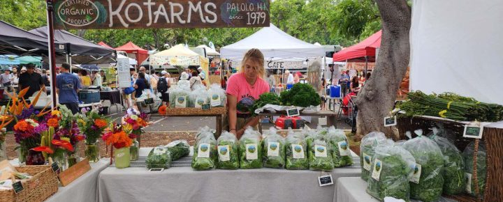 KCC Farmers Market Honolulu Must Do