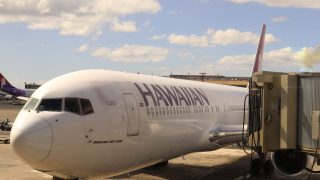 Incident Rekindles Astonishing Tale of Hawaii Flight Stowaway