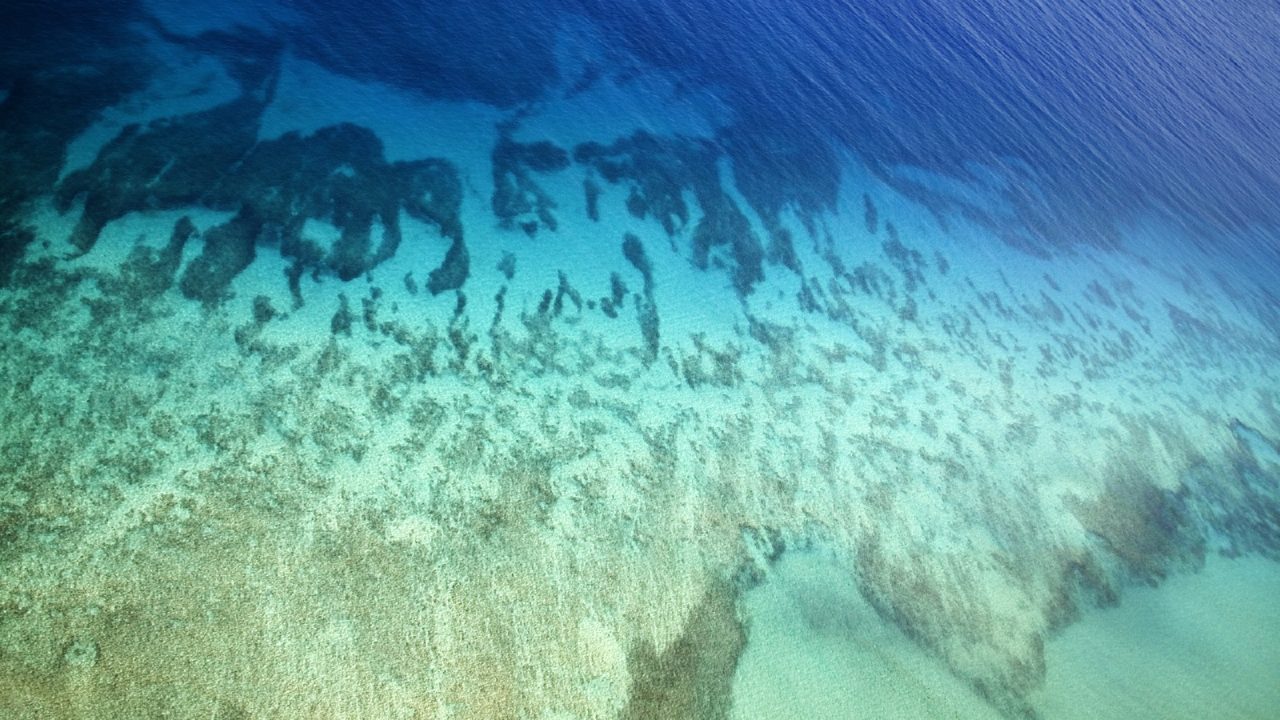 Ominous Concerns for Olowalu Maui Reef's Future - Beat of Hawaii