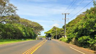 Visitors: Hawaii’s Dangerous Lack of Sidewalks And Personal Tragedy