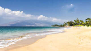 Maui Vacation Rental Showdown at Crossroads As Occupancy Plummets