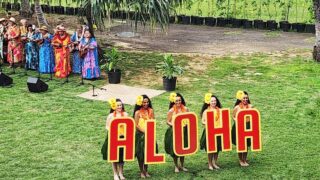 Being Hawaiian Vs. From Hawaii: Understanding The Difference