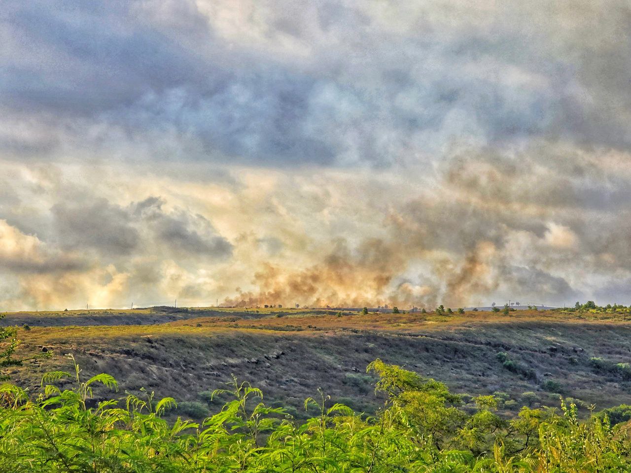 Updated: Kokee/Waimea State Park Fire