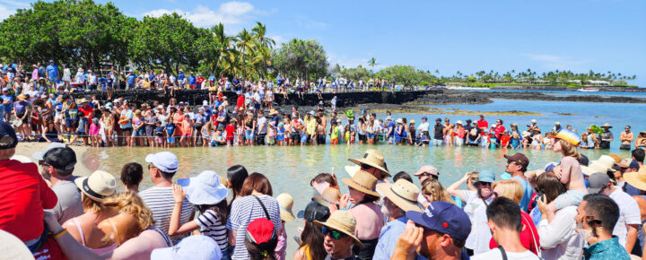 July 4: Honoring Hawaii’s Green Sea Turtles Too