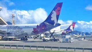 Unpacking Huge Changes: Your Voice In Hawaiian Airlines’ Future