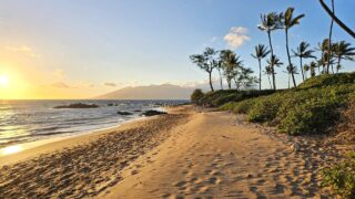 Could Maui Become the New Florida?