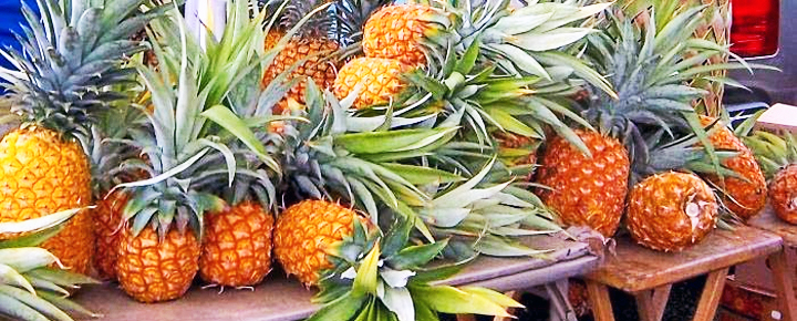 A Sweet Slice of Hawaii Comes Home As Pineapple Clears Takeoff