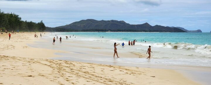 Hawaii Jellyfish Invasion: From Ironman Disruption to Vacation Risks