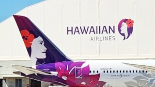 How Hawaiian Airlines’ Pualani Branding Took "Aloha" Global