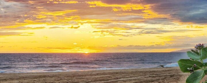 What Makes This Sleepy Hawaii Beach A Hotspot for Shark Attacks