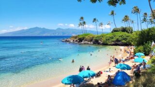 Hawaii All Expenses Paid Junket Tours: Game Changer or Flop?