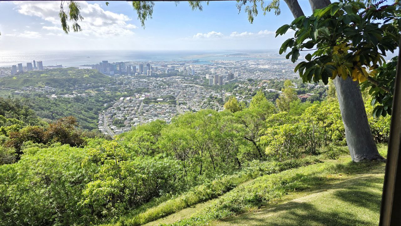 Liljestrand View of Honolulu