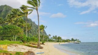 Hawaii Tourism Gamble: Can U.S. Visitors Fill this Void?