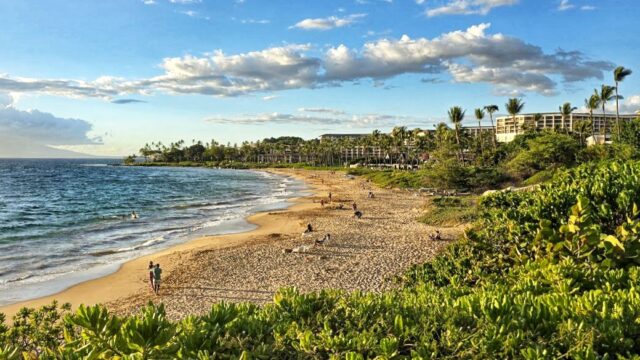 Wailiea Beach Maui luxury hotels