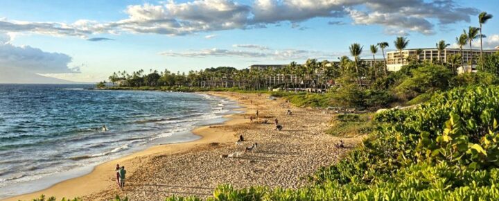 Wailiea Beach Maui luxury hotels