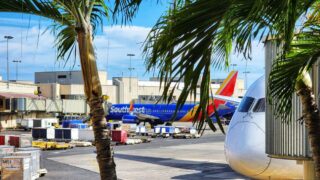 Southwest Airlines and Palm Trees at HNL