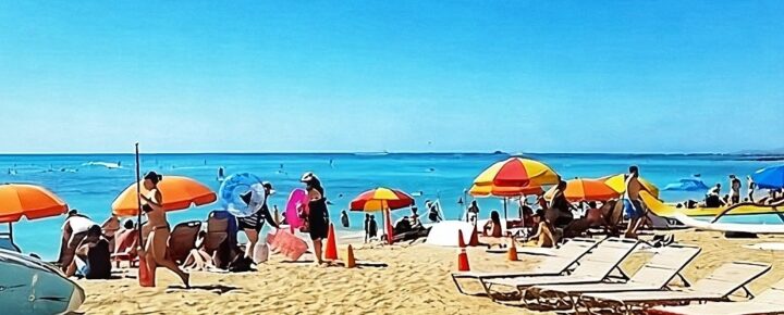 Waikiki Beach Umbrellas