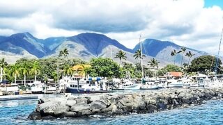 Lahaina Harbor Pre-Fire