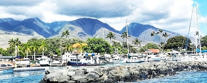 Lahaina Harbor Pre-Fire