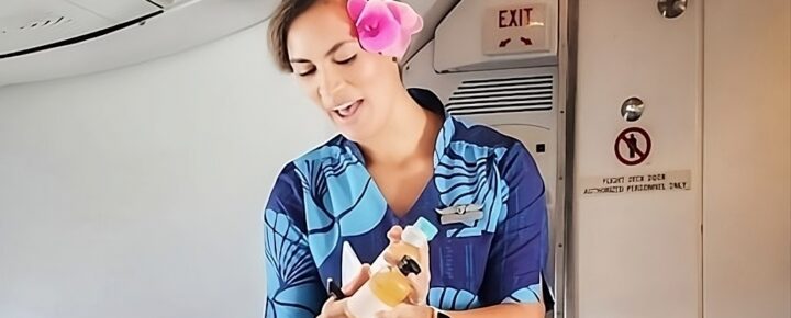 Hawaiian Airlines flight attendants
