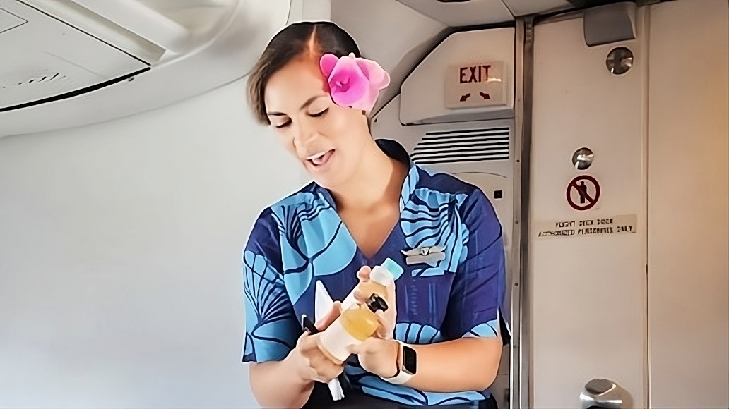 Hawaiian Airlines flight attendants