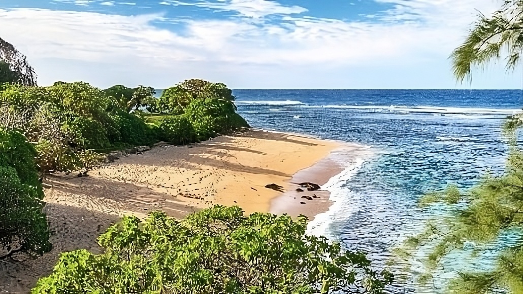 Snorkeling on Kauai Turns Deadly: A Beach With 20+ Deaths - Beat of Hawaii