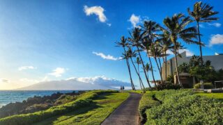 Maui vacation rentals at Wailea