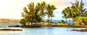 Big Island Fishpond
