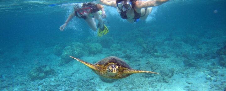 Snorkeling in Hawaii