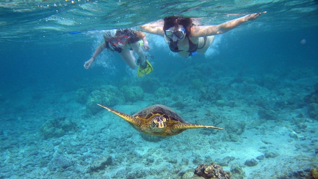 Snorkeling in Hawaii