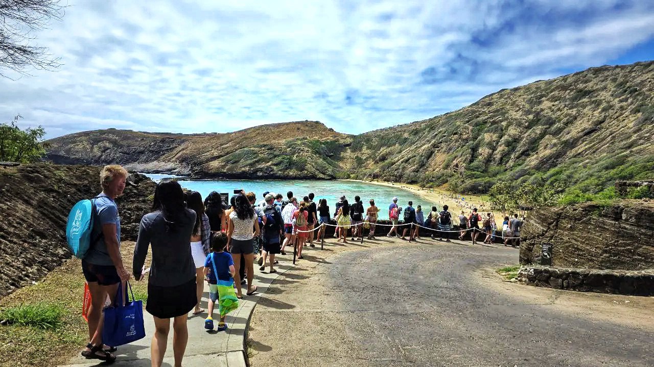 Hanauma Bay Visitors