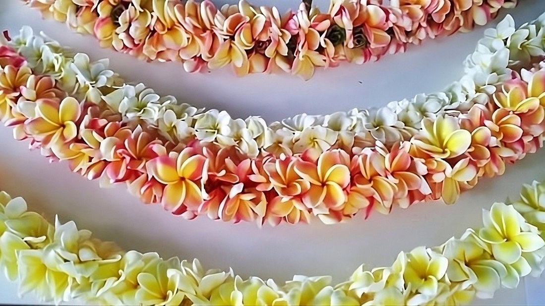 Hawaii lei and Aloha