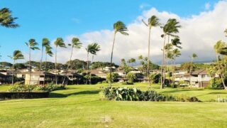 Wailea vacation rentals on Maui