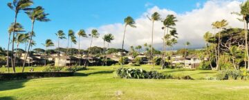 Wailea vacation rentals on Maui