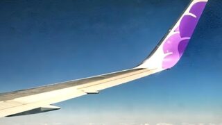 Hawaiian Airlines wing