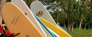 Surfboards in Hawaii