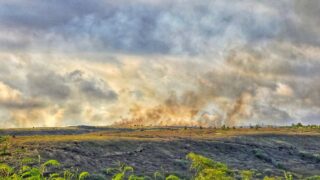 Hawaii wildfire Kokee, Kauai, 2024