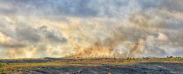 Hawaii wildfire Kokee, Kauai, 2024