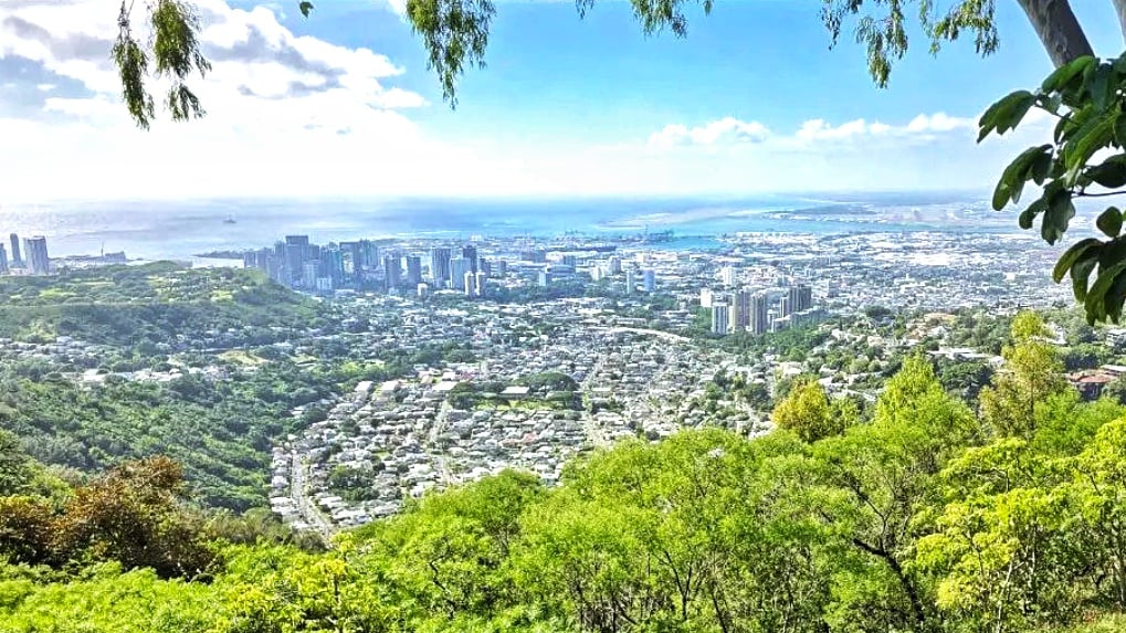 Mr. Tantalus Honolulu