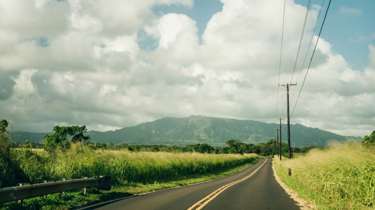 Road to Kauai Coffee