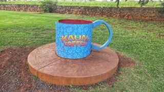 Kauai Coffee Cup