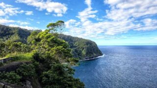 Scenic Point from Road to Hana